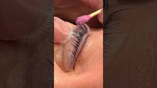 lashlamination lashlift magic perfect treatment for your lashes [upl. by Columbyne626]