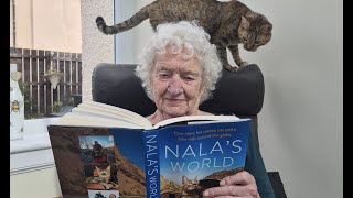 Family time  Cat NALA visits my gran ❤️ [upl. by Aserret730]