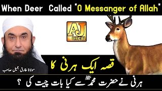 Story When The Deer Talking to Prophet Muhammad ﷺ  Maulana Tariq Jameel Bayan 2017 [upl. by Irrehs]