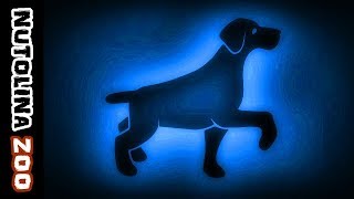 Blaffende hond geluid  Hunde bellen sound  Dog sound effect  Dźwięk psa [upl. by Tfat346]