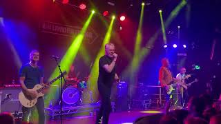 The Undertones teenage kicks live the academy Dublin 261123 [upl. by Nisay]