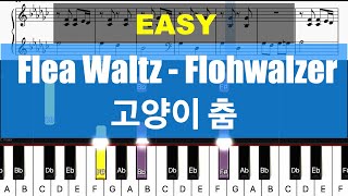 Piano Tutorial Flea Waltz  Flohwalzer Piano EASY 고양이 춤 Piano Sheet Easy Tutorial [upl. by Laehcimaj363]