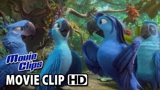 Rio 2 Movie CLIP  Beautiful Creatures 2014 HD [upl. by Nenad266]