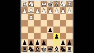 Chess Lesson  openings The Polish opening 1b4 [upl. by Nwahsed]