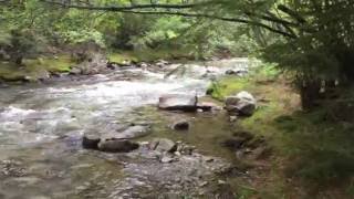 Chalk Creek passing thru Chalk Lake Campground [upl. by Cudlip825]