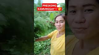 preskong kamunggay probinsya probinsiyana simplengbuhayprobinsya vegestable [upl. by Nitsua]