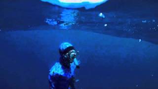 Spearfishing with Cameron Kirkconnell  Bluewater Spearfishing African Pompano [upl. by Asirak]