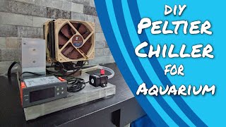 DIY Thermoelectric Peltier Chiller Tutorial [upl. by Lap]