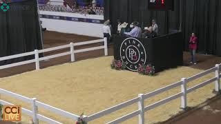 The Pink Buckle Select Sale Lazy E Guthrie OK 2023 Oct05125921 [upl. by Boote]