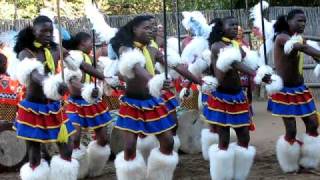 Swaziland Traditional dance [upl. by Esmerelda794]