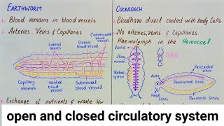 Open and closed circulatory system  circulatory system  class 11 [upl. by Markos]