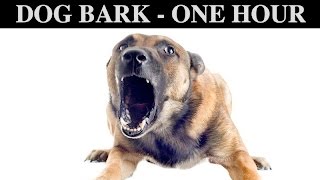 Sound Effects Of Dog Barking  ONE HOUR  BARK  GROWLING  CRY  PUPPY  WHINING  HQ [upl. by Tanah]