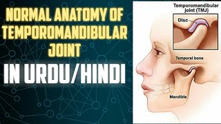 Anatomy of Temporomandibular Joint in detailIn urduhindi [upl. by Asiral867]