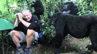 Extraordinary Encounter with Mountain Gorillas in Bwindi Uganda [upl. by Ahtel]