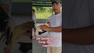 Cong Sonny Lagon Game Farm shortvideo [upl. by Stahl]