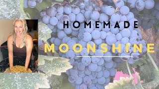 HOW TO MAKE MOONSHINE AT HOME  from grapes [upl. by Nagaem958]