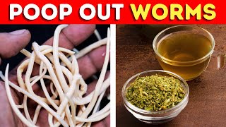 Drink This Tea to Get Rid of Worms and Parasites in the Intestines [upl. by Tanhya]