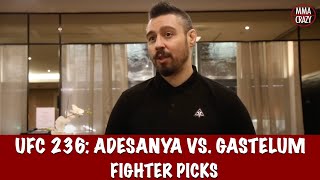 UFC 236 Israel Adesanya vs Kelvin Gastelum Fighter Picks [upl. by Krute]