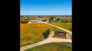 Wines around the World Alentejo [upl. by Jepum]