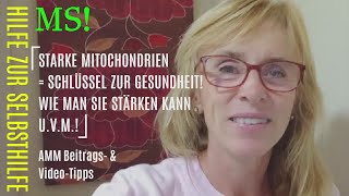 MS heilbar Starke MitochondrienSchlüssel zur Gesundheit Wie man sie stärken kann BeitragsTipp [upl. by Sandell478]