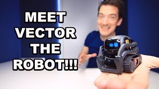 ANKI VECTOR ROBOT UNBOXING AND REVIEW [upl. by Bailey]