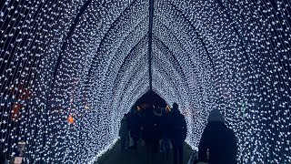 Christmas Lights Display at Kew Gardens London Full Trail [upl. by Vanzant]