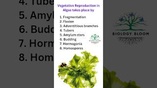 Vegetative Reproduction in Algae  neet algae ytshorts [upl. by Benn140]