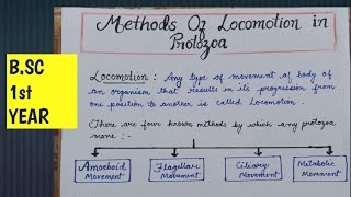 Methods of locomotion in Protozoa  Locomotion in Protozoa  AmoeboidCiliary FlagellarMetabolic [upl. by Rilda334]