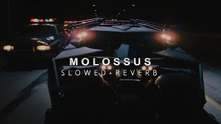 Batman Begins  Molossus Slowed  Reverb [upl. by Thurman96]