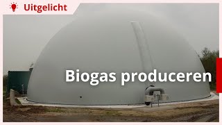 Uitgelicht  Melkveehouders leveren samen biogas [upl. by Canica]