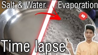 Water And Salt Evaporation 🔥🔥🔥Time Lapse [upl. by Calle449]