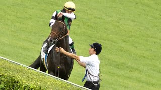 【2歳新馬】Ｃ．ルメール、スワーヴリチャード産駒レーヴブリリアント（母の姉にリスグラシュー）を勝利に導くもレース後なかなか帰ってこず 向正面で何が？ [upl. by Jeunesse]