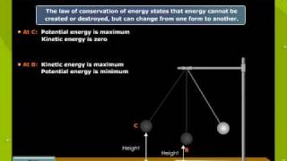 Law Of Conservation Of energy in a Simple Pendulum [upl. by Ez620]