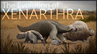 Evolution of sloths and armadillos [upl. by Eberto]