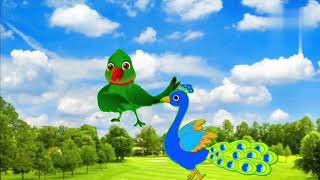 mor aur totaram ki barish me masti  mor hua beemar totaram ne ki khoob seva cartoon story moral [upl. by Falcone]