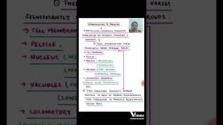 ULTRASTRUCTURE OF PROTOZOA  BABY INTRODUCTIONshorts MSC ZOOLOGY BSC ZOOLOGY NEP [upl. by Alurd335]