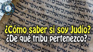 ¿Cómo saber si soy Judío ¿De qué tribu pertenezco [upl. by Vincelette]