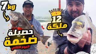 اليوم الثاني رحلة صيد الأسماك الدوراد الكوربين على المباشر fishing fish صيد [upl. by Ailices923]