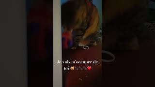 chat drôle et intelligentej’ai de bons crocs cat cute funny shortvideos shortsyoutube 😻❤️ [upl. by Naot293]