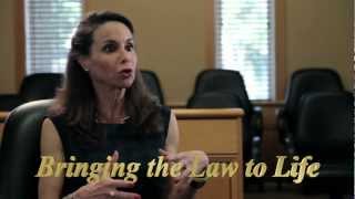 Bringing the Law to Life Stetson Professor Luz Nagle [upl. by Yralih825]