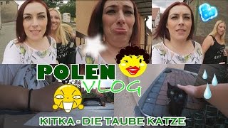 KITKA  DIE TAUBE KATZE 8 I POLEN VLOG 6 [upl. by Tebasile]