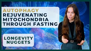 Autophagy  Rejuvenating Mitochondria through Fasting  Beyond Sapiens [upl. by Fancie]