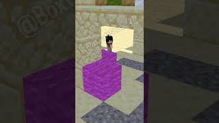 Hide N Seek The 4 Brothers Herobrine vs The 4 Sister Sadako funnyshorts minecraftshorts fyp [upl. by Suirada]