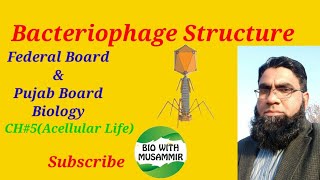 Bacteriophage Structure Federal and Punjab Board Biology CH5 Acellular LifeFSc1st Year [upl. by Zzaj940]