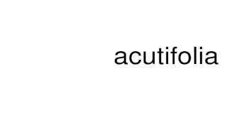 How to pronounce acutifolia [upl. by Aryamoy928]