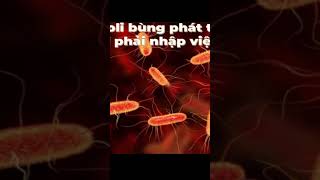 Nhiễm trùng Escherichia coli [upl. by Halla687]