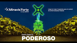 Miravis Forte  Fungicida Syngenta con amplio espectro de control [upl. by Eanrahc504]