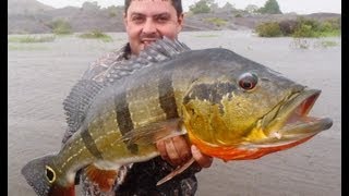 Pesca de pavon o tucunare en invierno Vichada 2013  wwwtucunarelodgecom [upl. by Beckie]