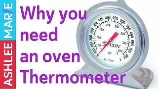 How to Properly Use a Meat Thermometer [upl. by Juana641]