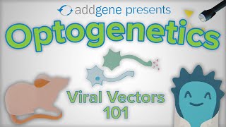 Optogenetics  Viral Vectors 101 [upl. by Winola]